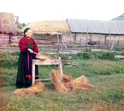 Breaking flax in Russia, 1910 image